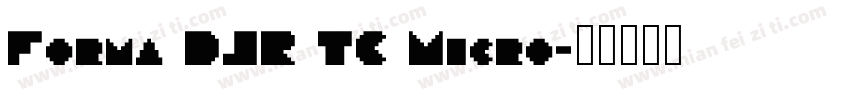 Forma DJR TC Micro字体转换